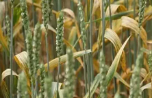 化學(xué)藥液過濾機(jī) 化學(xué)藥液過濾機(jī)